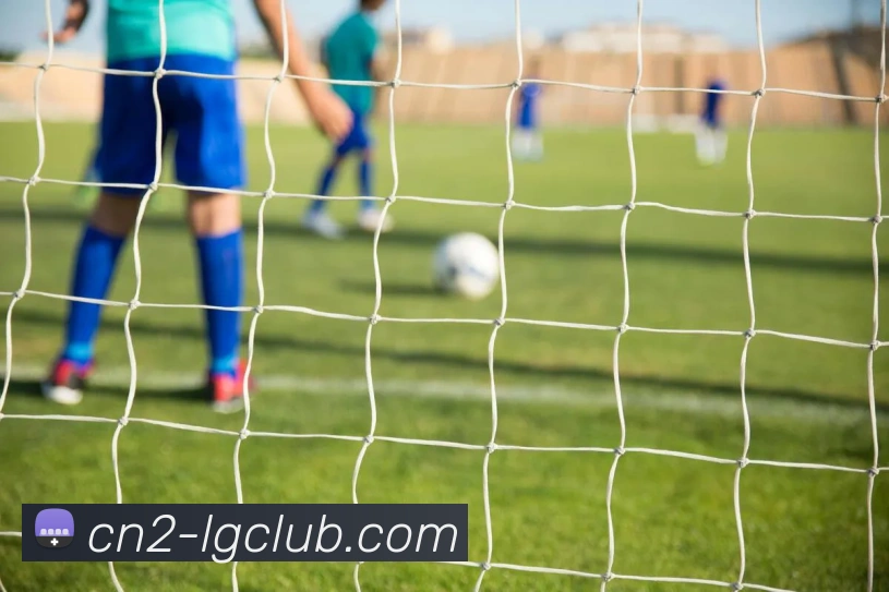 老哥俱乐部官网平台生态图