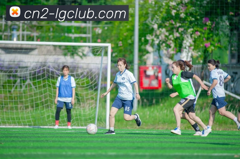 数据防护可视化